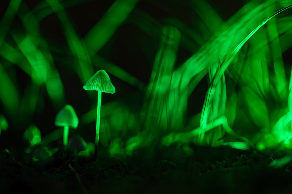 Platz 11 Conny Kleiner